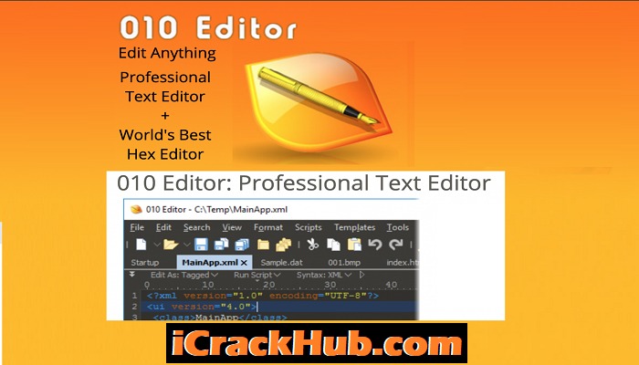 010 Editor Crack